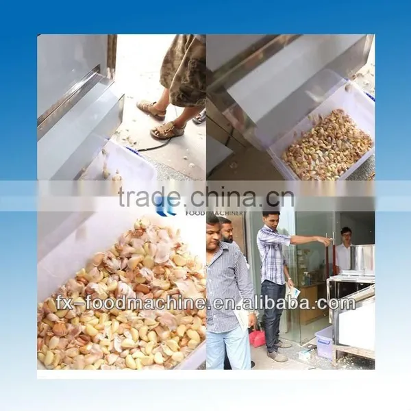 Commercial Separater Type Garlic Processing Separating Breaking Machine FX-139 photo-6