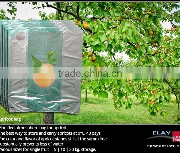 Cherries Bag photo-4