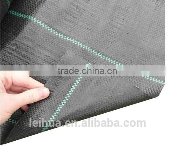 NTPEP Certafication Identified Woven Polupropylene Geotextiles photo-6