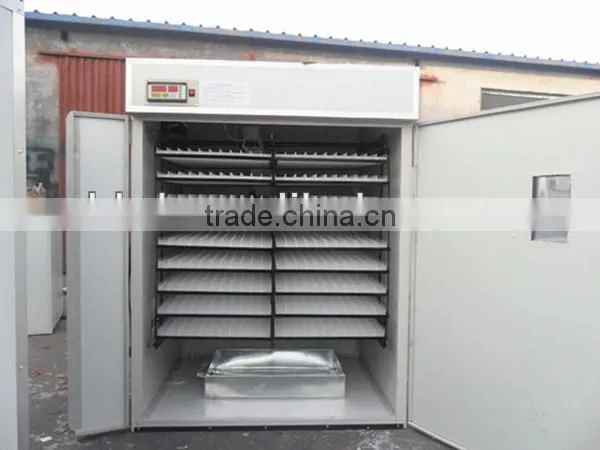 High Quality Hot Selling Used Chicken Egg Incubator for Sale Chicken Egg Incubator photo-4