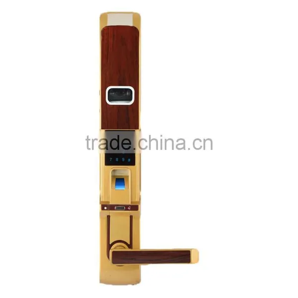 Professional Design High Quality Champagne Gold/red Bronze Smart Lock photo-2