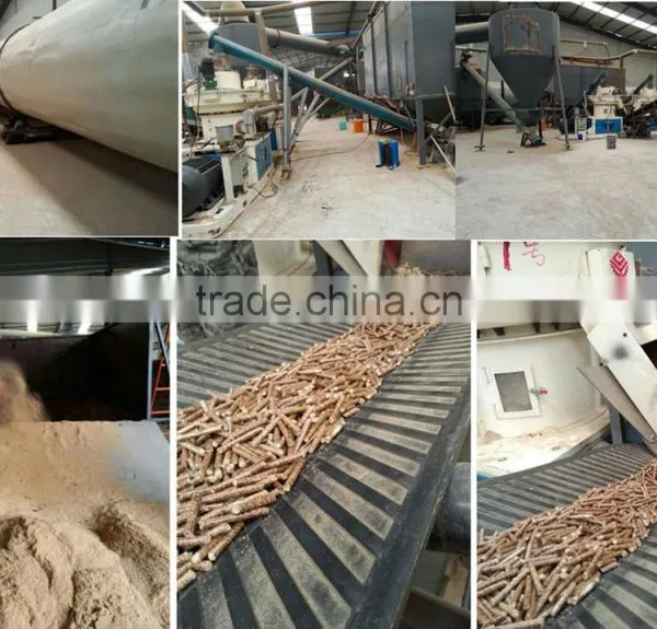 Timber / Bamboo Wood Pellet Making Machine Price / Vertical Ring Die Wood Pellet Mill CE photo-3