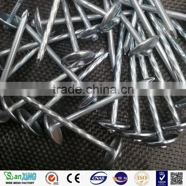 Best Quanlity 2.5 Inch and 3 Inch Roofing Nails photo-6