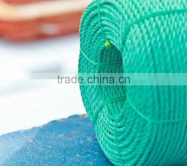 Top Quality Nylon Climbing Rope photo-5