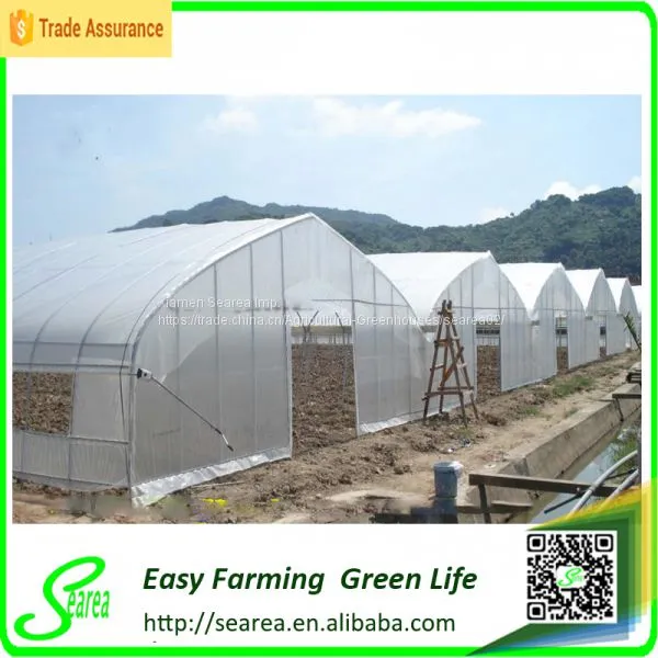 Glass Greenhouse