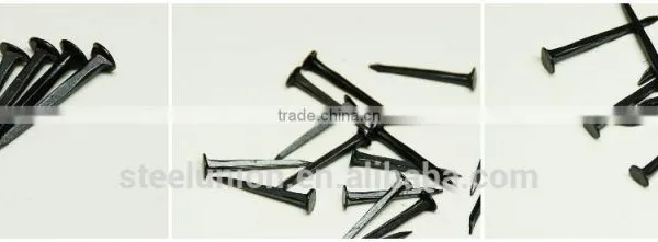 Fine Blue Shoe Tack Nails/three Star Brand Shoe Tack Naisl / Shoe Tack photo-5