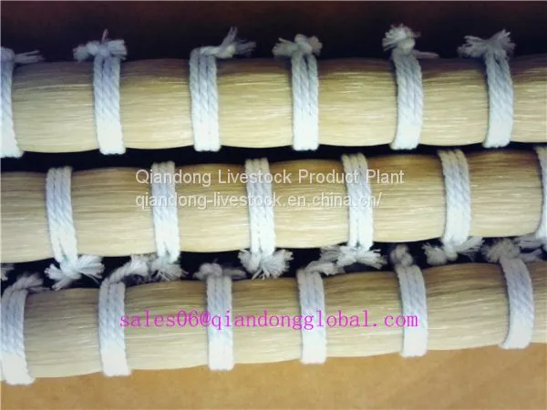 White Horse Tail Hair photo-2