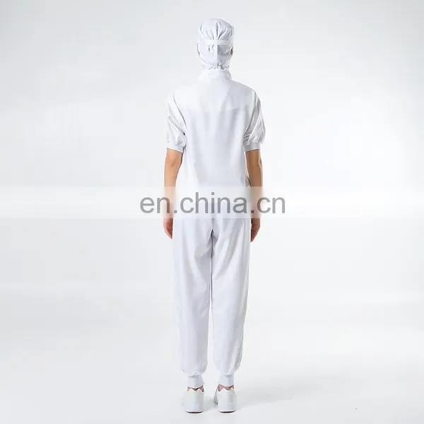 Hot Sale Organic Food Products Processing Clothing photo-6