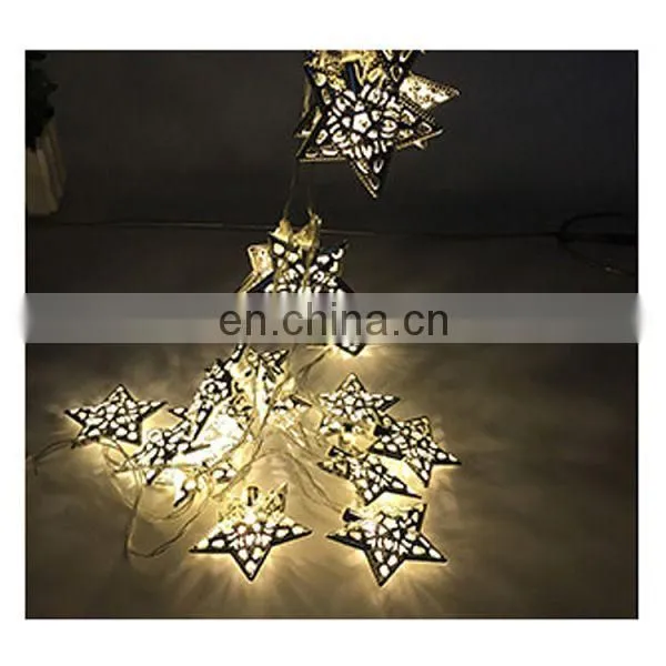 New 2M 10 LED Outdoor LED Christmas Decoration Light for Party ,garden and Christmas Tree photo-2