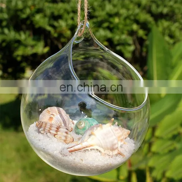 Terrarium Glass Terrarium Round Clear Glass Globe Ball Terrarium Planters Container Glass Flower Vase