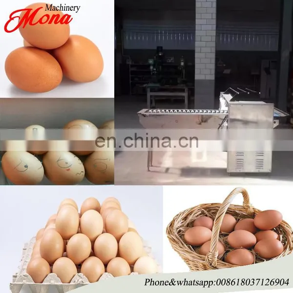 High Quality Low Price Egg Grading Packing Machine/Egg Grader photo-5