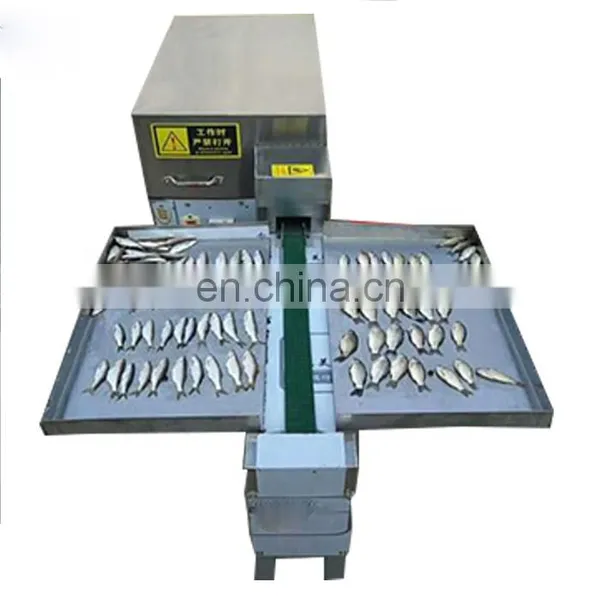 Fish Killing and Cleaning Machine/Fish Viscera Removal Machine photo-2