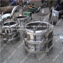 Stainless Steel Dismantling Joint photo-3