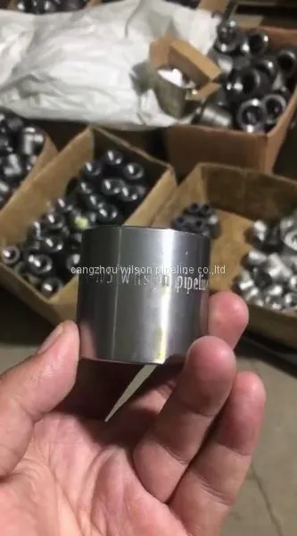 China Supplier Forged Pipe Fitting Reducer Insert sw 3000 6000
