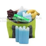 Small Reusable Plastic Ice Packs