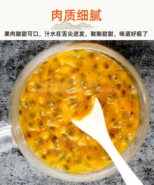Passion Fruit photo-4