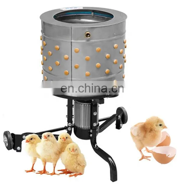 Chicken Feather Cleaning Machine photo-5