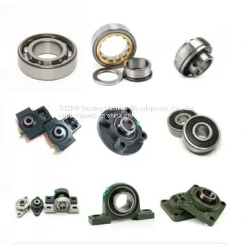 Ina Natr 25 Bearing photo-2