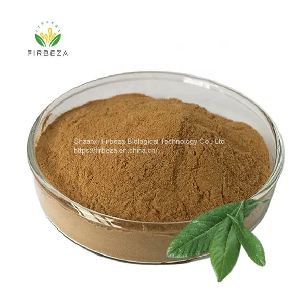 Orgnaic Loquat Leaf Extract Powder 25% - 98% Ursolic Acid