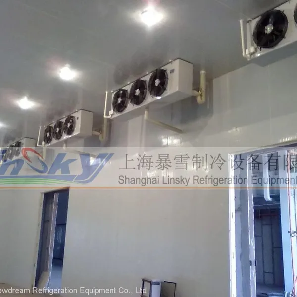 Ceiling Type Air Cooler photo-4