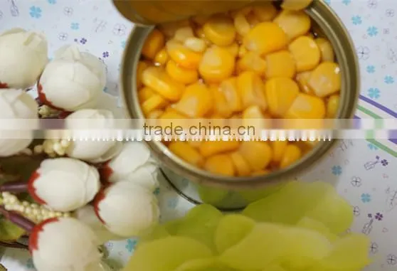 High Quality Frozen Sweet Corn Kernels