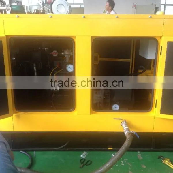 Ricardo 25kw Biogas Generator With CHP