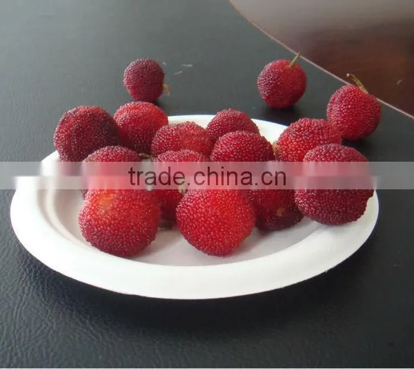 High Quality Eco-friendly Plate photo-3