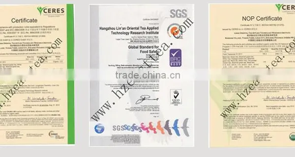 China Supplier Hangzhou Factory Organic Foods Weight Loss Slimming photo-4
