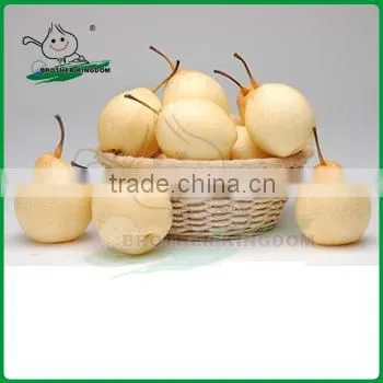 Sell Pear/Ya Pear/Fresh ya Pear