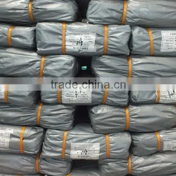 Polythene Sheets Roll Plastic Sheet photo-4