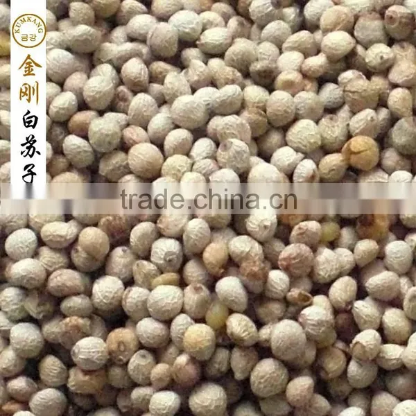Perilla Seed for Birds/white Perilla Seed for Sale Supplier's Choice photo-2