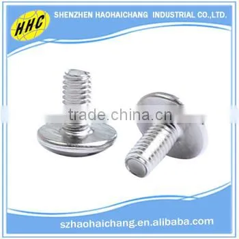 China Hardware Manufacturer High Quality Nonstandars Stainless Steel Flat Head Screw photo-2