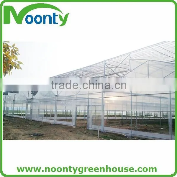 Tropical Greenhouse photo-3