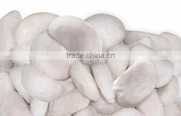 Freeze Dried Mangosteen 20 g Pack From Thailand photo-2