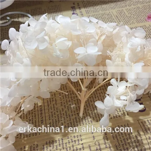 Preserved Flower Hydrangea Flower photo-2