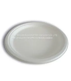 JUST Disposable Biodegradable Paper Pulp Bagasse Oval Plate 10