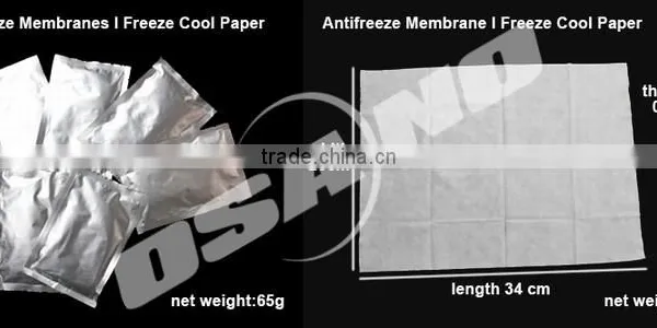 New Portable Slimming Machine Cryotherapy for Weight Loss photo-4