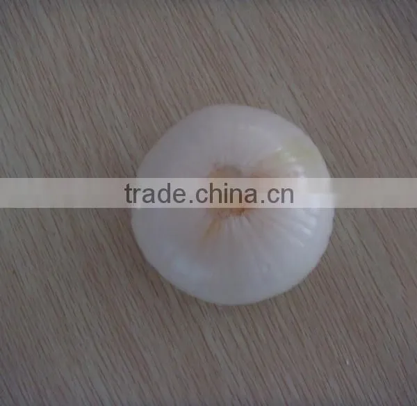 White Good Peeled Onion Producer in China photo-3