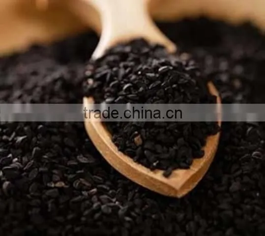 Wholesale Spice Oil Black Cumin Seed photo-2