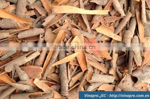 VIETNAM BROKEN CASSIA, HIGH QUALITY, BEST PRICE (+841657106604 - WHATSAPP) photo-6
