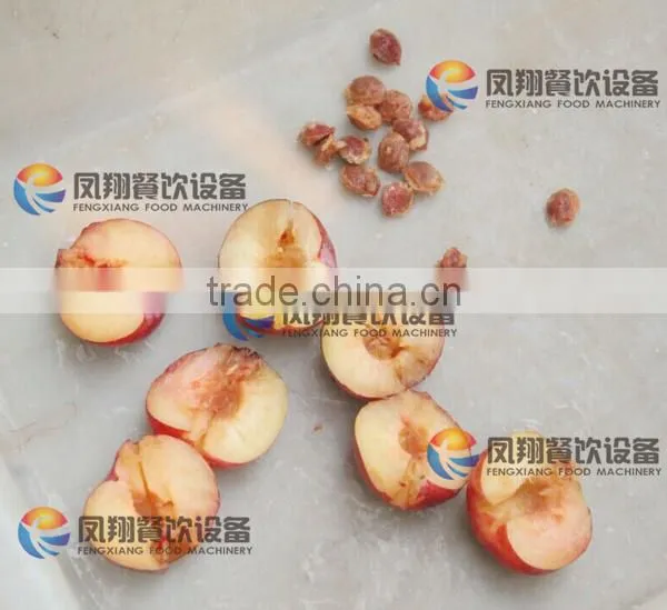 High Quality Plum Stoner, Plum Pitter, Plum Corer With CE Certificated photo-2