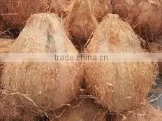 VIETNAM SEMI-HUSKED COCONUT