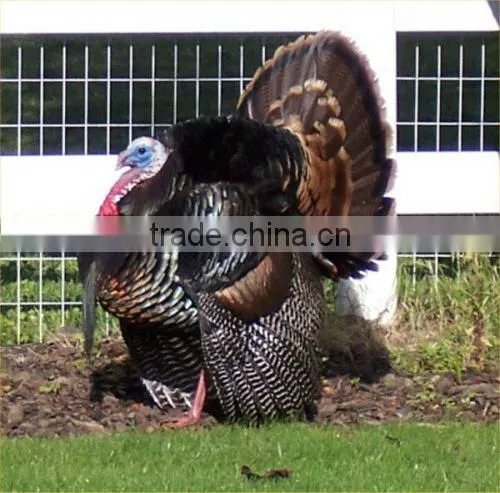 Plastic Bird Decoy,flying Bird Decoy,plastic Pigeon Decoy photo-4