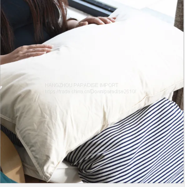 2017 Hot Sale Cotton Pillow Filled With White Goose Down photo-4