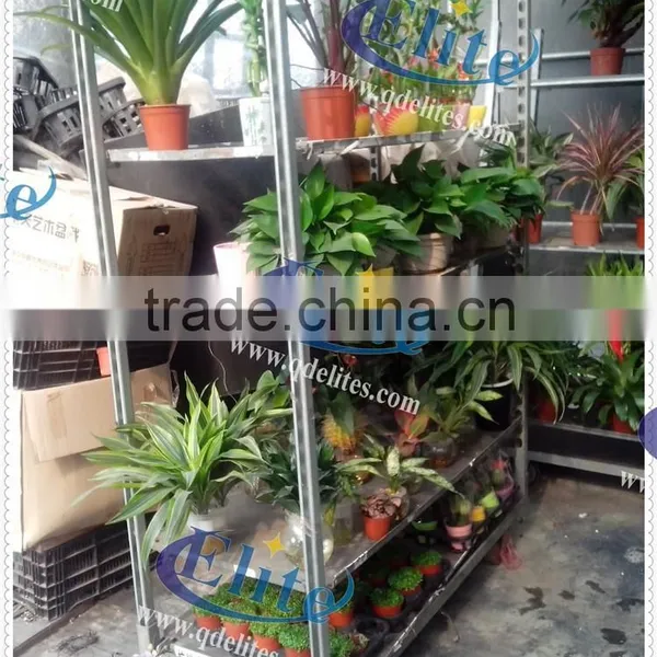 A8 Lower and Pot Plant Trolley Perfect for Display photo-6