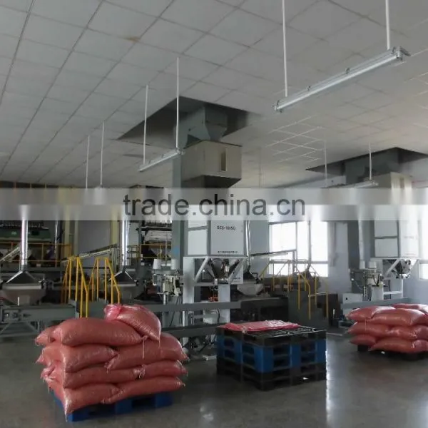 peanut processing machine