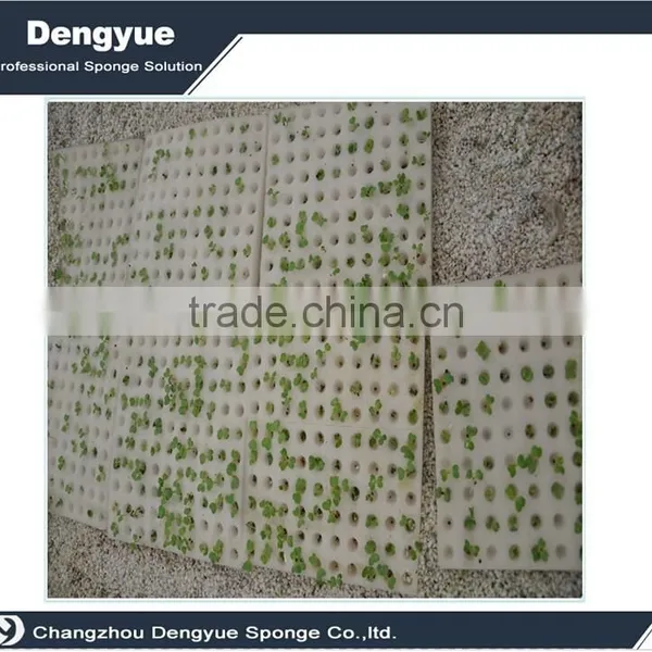 Agricultural Polyurethane High Densuty Seeds Plant Foam&sponge Tray photo-6
