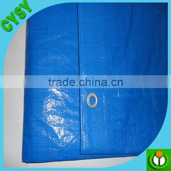 Blue Reinforced Hdpe Plastic Tarpaulin, Competitive Tarpaulin Price photo-6