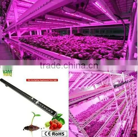 VANQLED LED Plant Grow Rigid Strip Lights With Plug Transformer Driver for Leafy Growth,Red Blue Grow Lamp Light photo-5