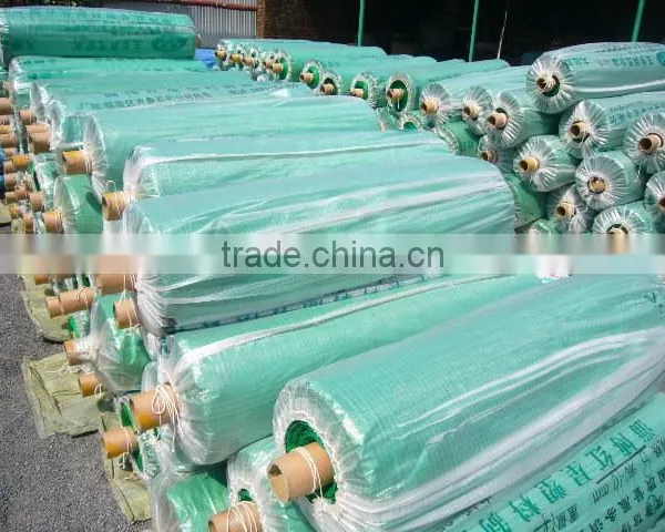 LDPE Greenhouse Film for Flower, Vegetable photo-6